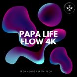 Portada para "Flow 4k"