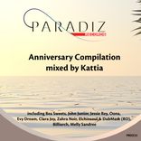 Artwork for "Paradiz Anniversary Compilation"