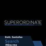 Artwork voor "Search ( the Remixes )"