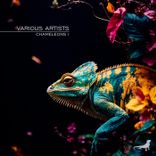 Artwork for "Chameleons I"