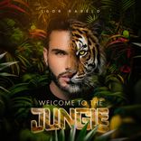 Artwork for "Welcome To The Jungle"