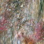 Portada para "Neo Form"