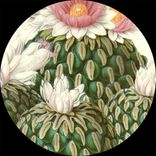 Artwork für "mosso006"