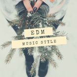 Portada para "SLiVER Recordings: EDM Music Style, Vol.29"