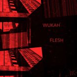 Artwork für "Flesh"