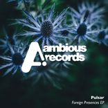 Artwork for "Foreign Presences"