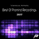 Artwork for "Best Of Promind Recordings 2017"