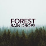 Artwork for "Forest Rain Drops"