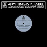 Artwork for "Anything Is Possible"
