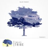 Artwork for "Tribe"