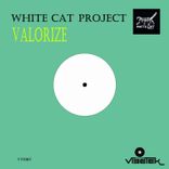 Artwork for "Valorize"