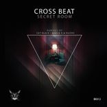 Artwork voor "Secret Room"