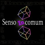 Artwork voor "Senso Incomum"