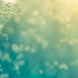 Artwork for "The Land of Three Moons"