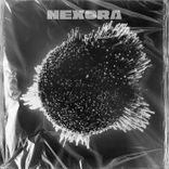 Portada para "Nexora"