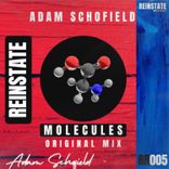 Artwork für "Molecules"