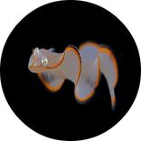 Artwork für "Rodriguez EP"