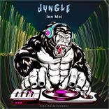 Artwork for "Jungle"