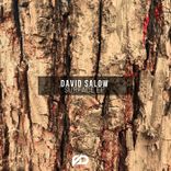 Artwork für "Surface"