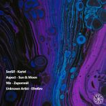 Artwork for "AMAYLIA005"