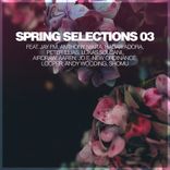 Artwork voor "Spring Selections 03"
