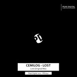 Artwork for "Lost"