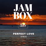 Artwork for "Perfect Love"