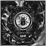 Artwork für "3AM"