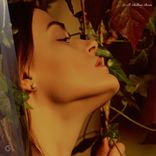 Conversational Gambit