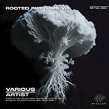 Artwork for "Rooted Rythms VA"