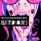 Portada para "Best of House Music Bits - Electro House 3"