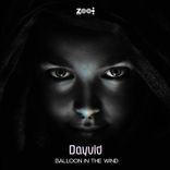 Artwork voor "Balloon in the Wind"