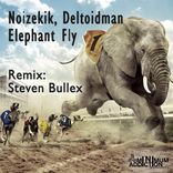 Portada para "Elephant Fly"