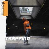 Portada para "Trapping"