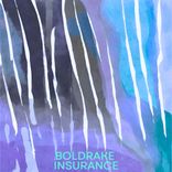 Artwork for "Insurance"