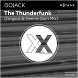 Artwork voor "The Thunderfunk (Incl. Dennis Quin Mix)"