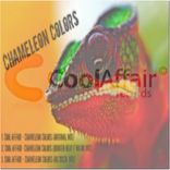 Artwork for "Chameleon Colors"