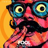 Artwork für "Fool"
