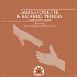 Artwork für "Perpetual Bliss, Pt. 1"