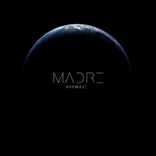 Artwork voor "Madre"