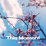 Artwork voor "This Moment"
