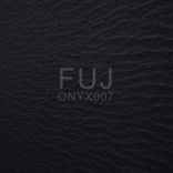 Artwork for "ONYX007"