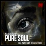 Artwork for "Pure Soul"