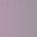 Heliotrope