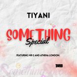 Artwork for "Something Special"