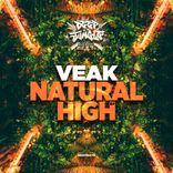 Artwork for "Natural High"