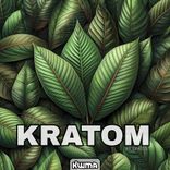 Artwork for "Kratom"