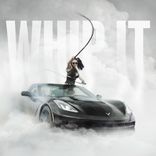 Artwork voor "Whip It"