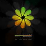 Artwork for "Amarula"