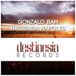 Artwork voor "Hacienda Napoles"